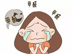 可怕！私家車甲醛普遍超標(biāo)6倍！教你車內(nèi)如何除甲醛